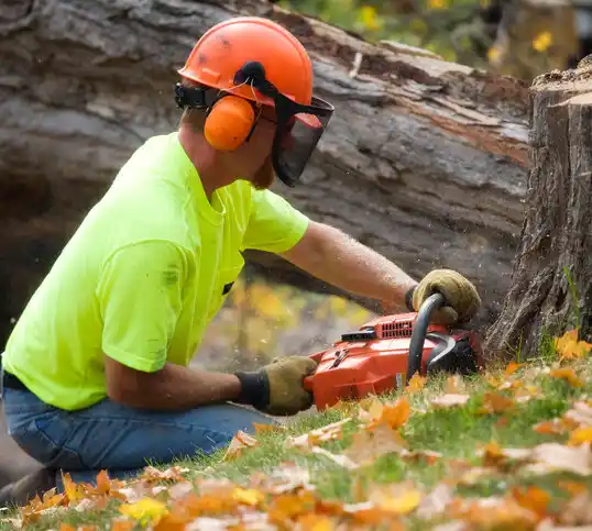 tree services Motley